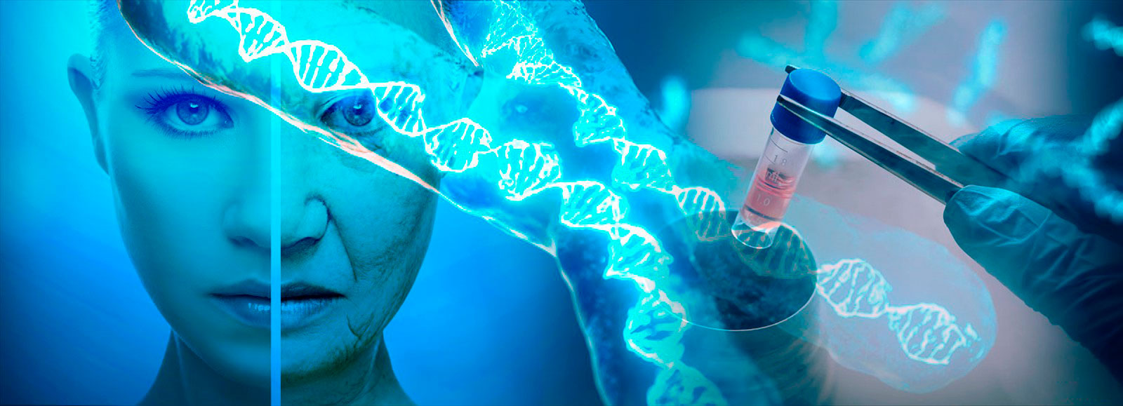 VITALIDAD CONSCIENTE