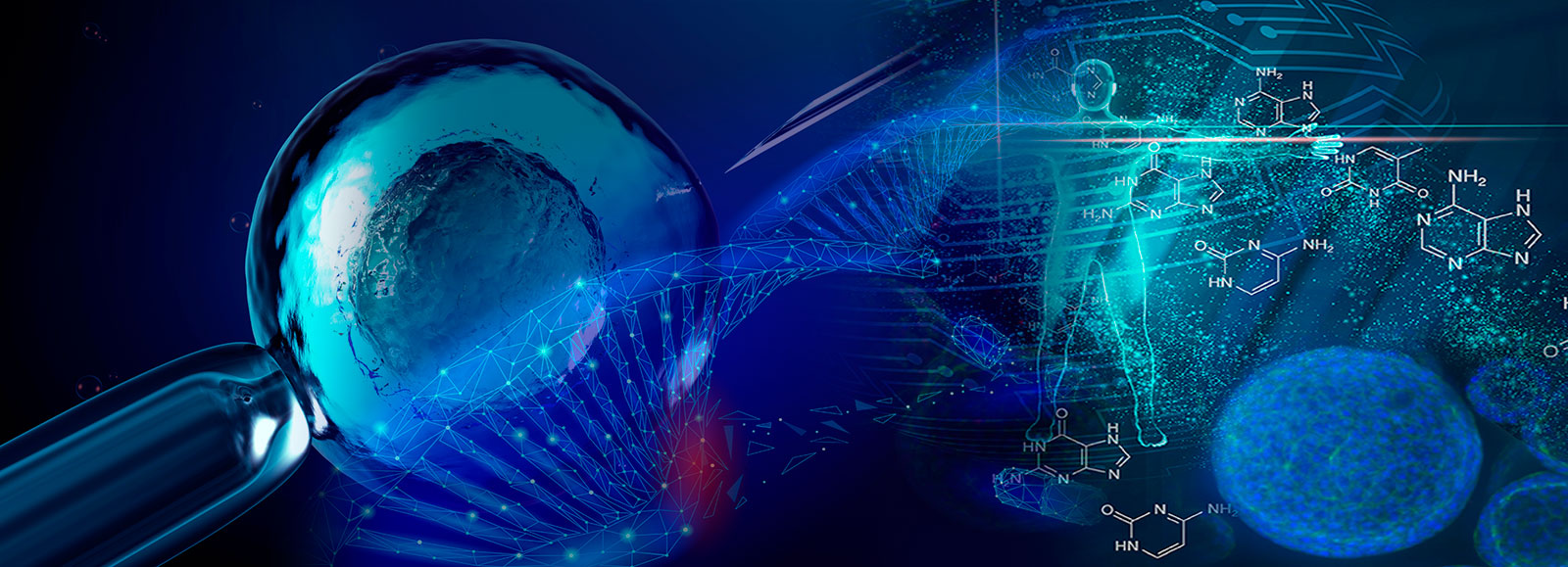 EMPODERAMIENTO CELULAR